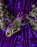 Purple Quartz & Carborundum - Coyote Skull