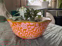 Image 1 of All Time Fittonia in Orange/Green Paisley Measuring Cup