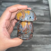 Image 3 of Ocean Jasper Mushroom Turtle 