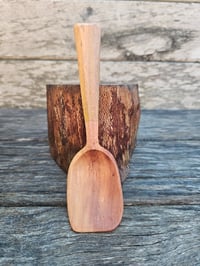 Image 1 of Callistemon eating spoon 