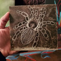Spider scribed in steel.
