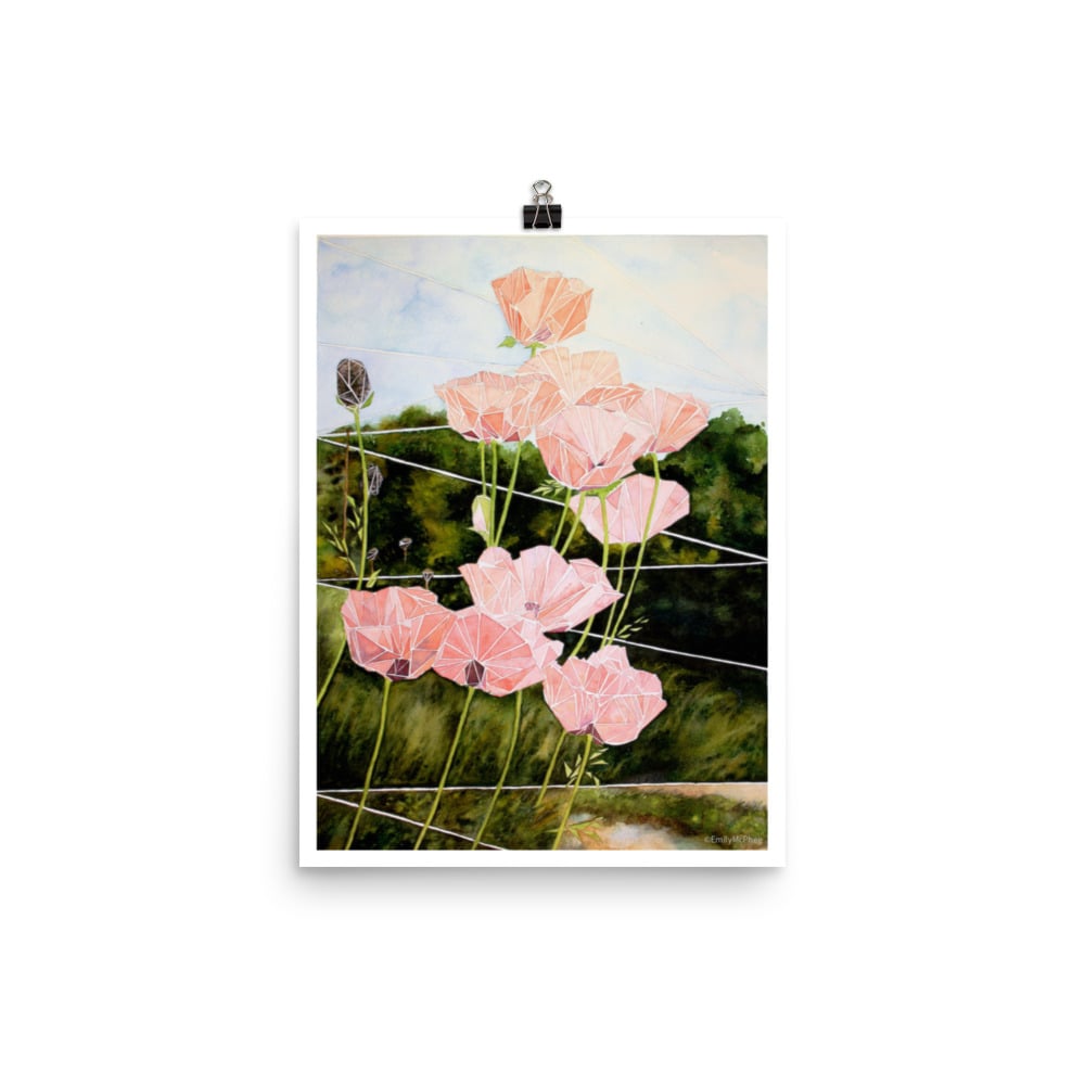 Image of Coral Poppies - Fine Art Print 