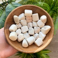 Image 1 of Scolicite Tumble