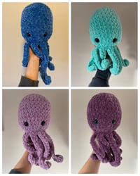 Image 3 of Octopi