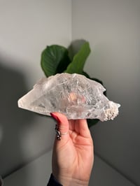 Image 8 of RAINBOW FILLED LA PLATOSA SELENITE -MEXICO- B