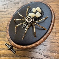 Image 1 of Toothy spider (a, 2x2.5 inches)