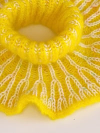 Image 4 of Sofie and Iris Sunshine☀️Mohair Collar