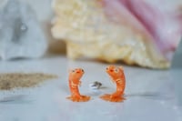Image 5 of Shrimp Mermaids