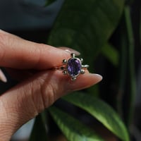 Image 1 of Amethyst Sun