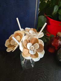 Image 1 of Fall Collection: Hazelnut Mix