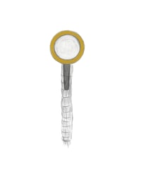 Valerie Piraino / "Taproot with Gold Circle"