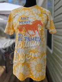 Image 11 of Mellow Sunflowers