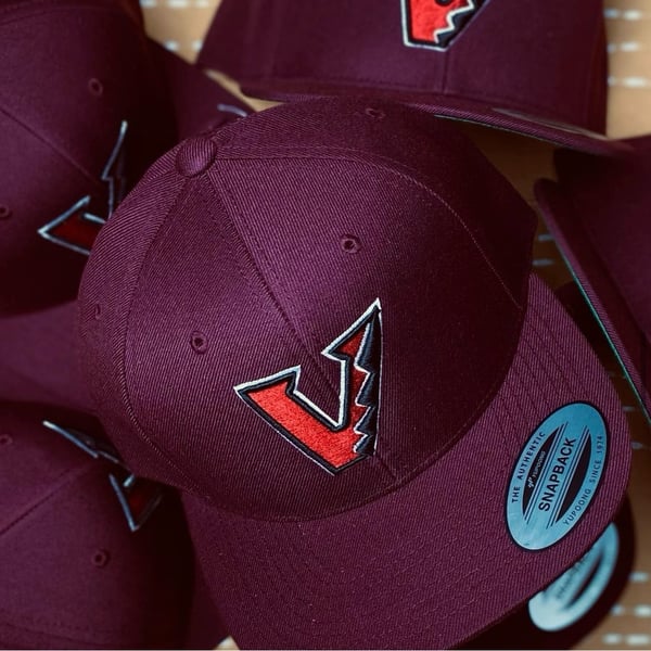 Image of Veastlos Diamondbacks SnapBack