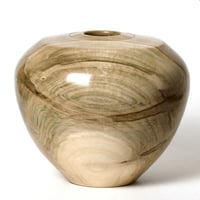 Image 1 of Ambrosia Maple Hollow Vessel