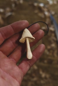 Image 3 of Mushroom Pendant..