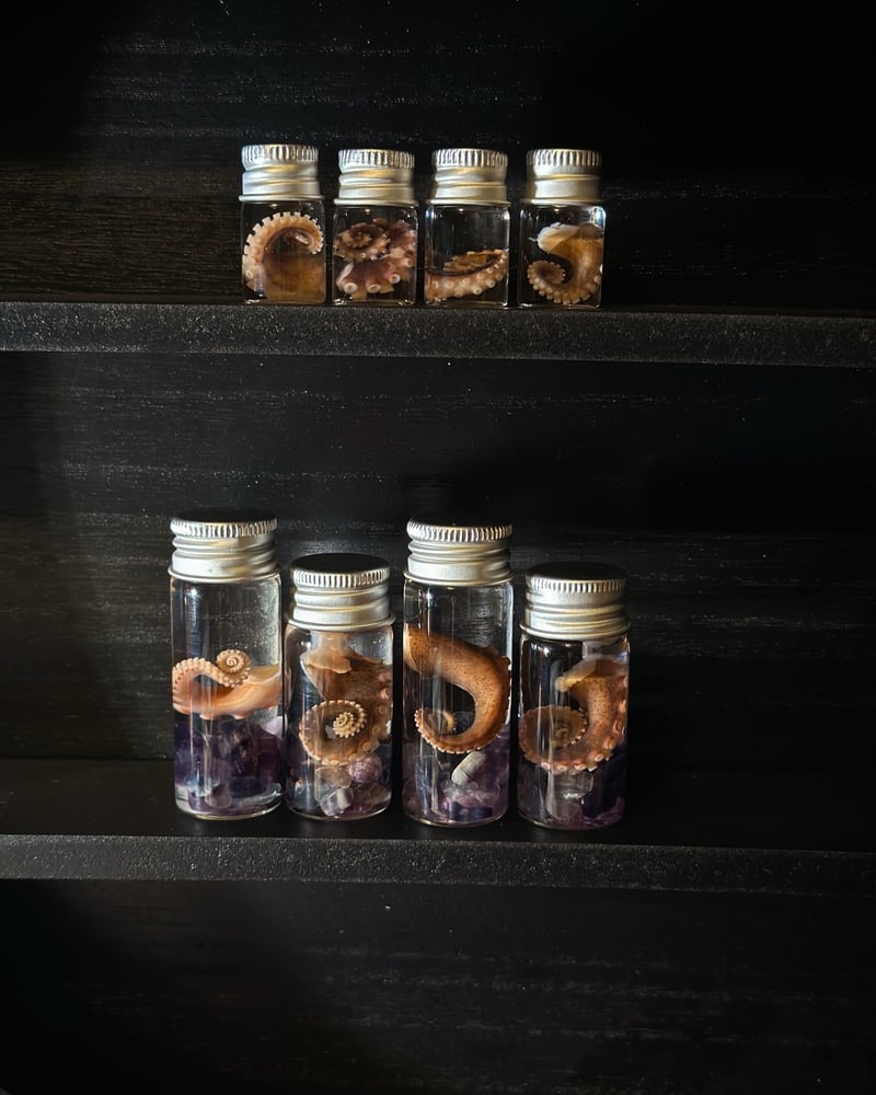 Image of Fluorite Tentacle Vials