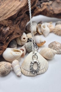 Image 5 of Tiny open limpet shell necklace