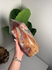 Image 3 of XXL RAINBOW IBIS JASPER TOWER -MADAGASCAR-