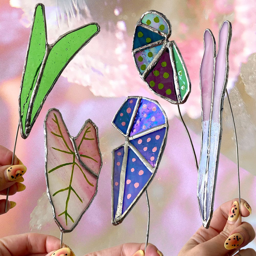 Image of Glass Plant *Old Stock*