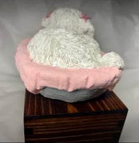 Image 6 of Custom Engraved White Maltipoo Maltese Pet Urn To Your Dog's Photo
