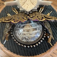 Image 2 of Snake skin  vertebrae  beetle (b, 4 inches)