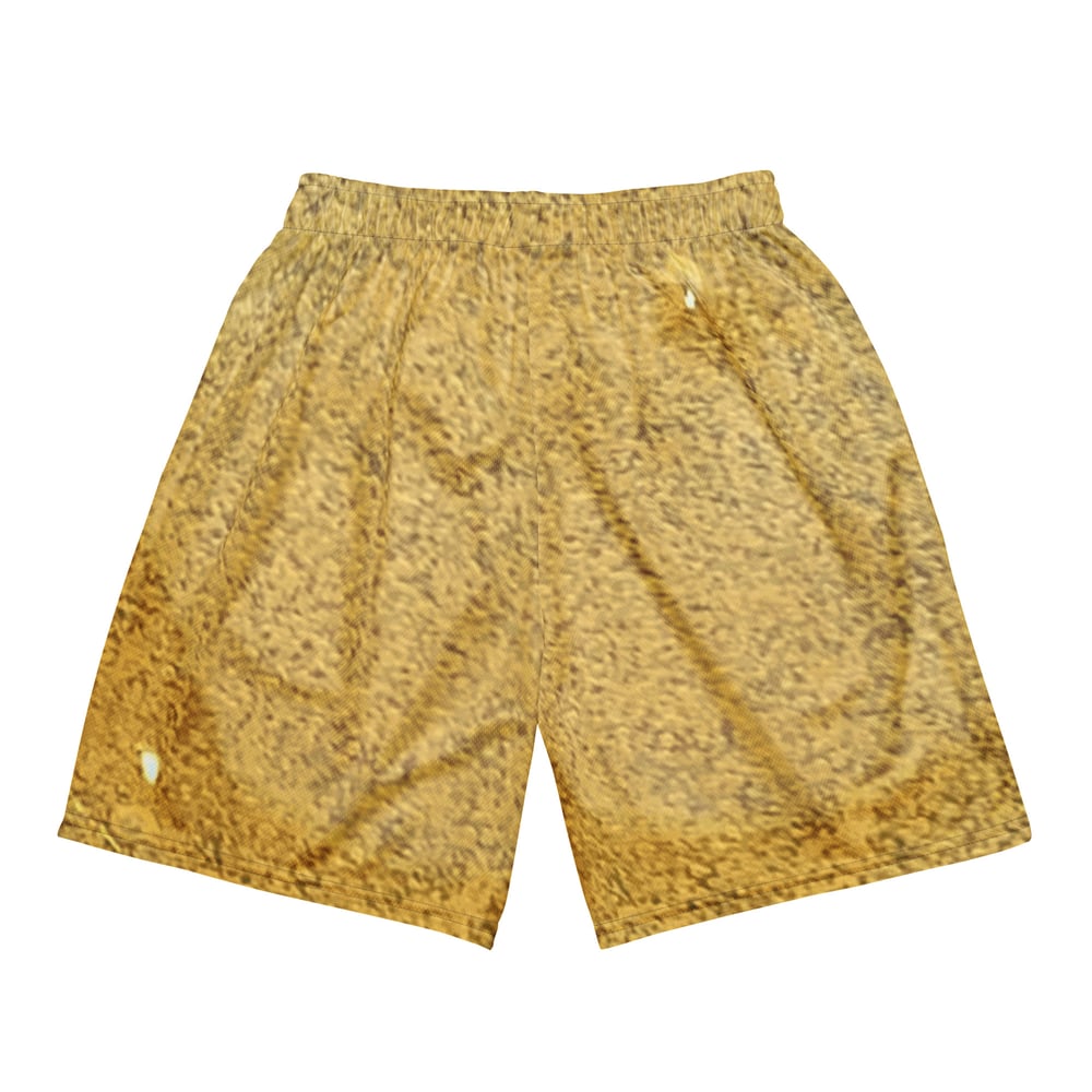 Image of Fresh Press Mesh Shorts