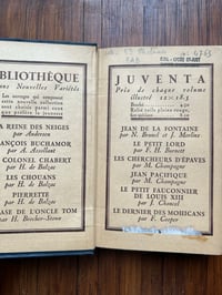 Image 5 of La vie des insectes de J-H. Fabre, 1935!