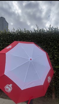 Image 3 of Hurricane Umbrella