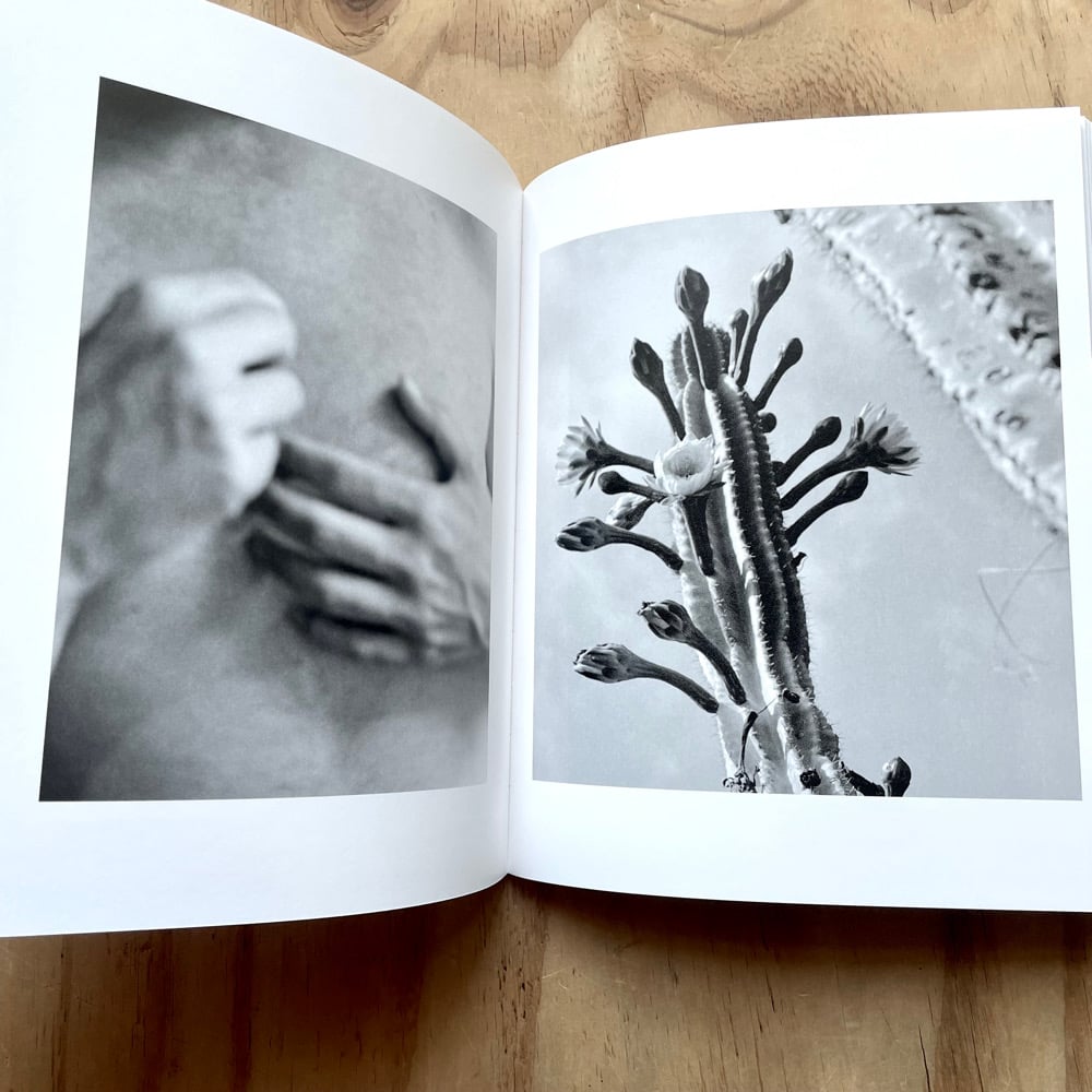 Katrin Koenning - Between the Skin & Sea | Photobook Junkies