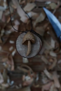 Image 1 of Oak Wood Liberty Cap Mushroom 