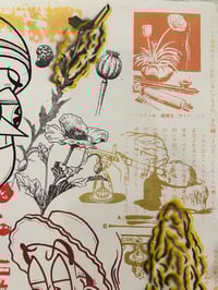 Image 5 of Opium Ganja TONK print