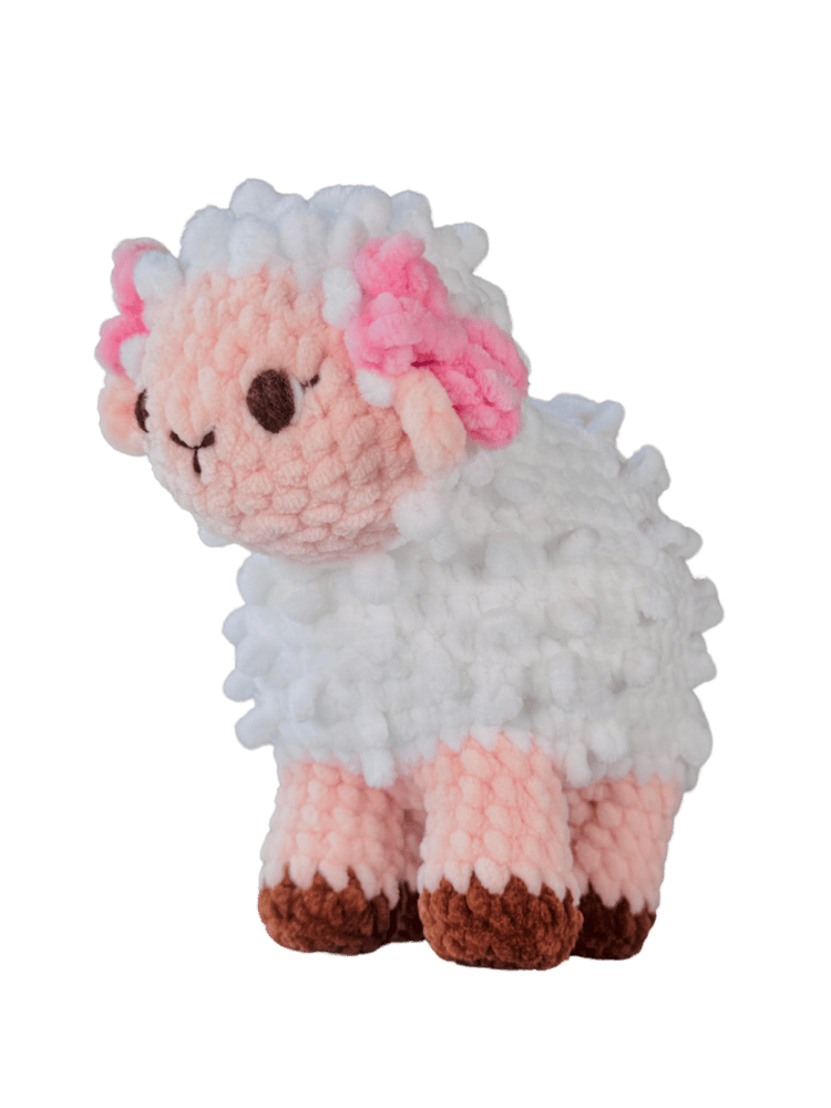 Image of sheep 