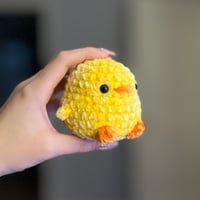 Image 2 of chickychicky