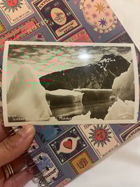 Image 2 of Whale on vintage postcard 