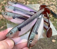 Image 1 of 5" G5 Hand Poured Swimbaits - MAJESTIC MINNOW