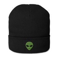 Image 2 of Little Green Friend Organic ribbed beanie