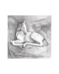 Image 1 of tinyhorse - original