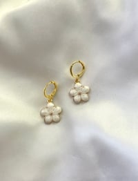Image 1 of Yoshino Cherry Blossom Flowers