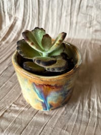 Image 4 of Chocolate Soldier kalanchoe in Handmade Glazed Pot