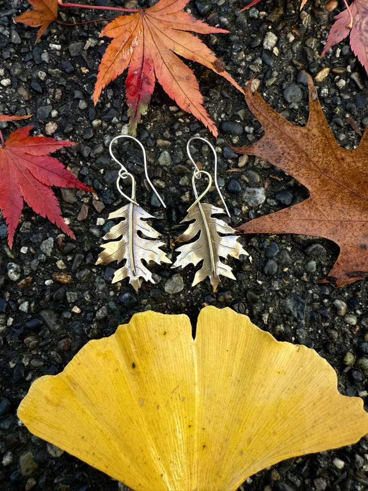 Image of Shumard Oak Leaf Brass Earrings