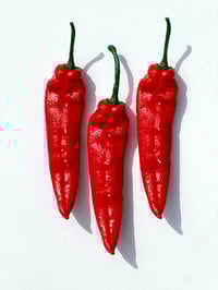 CHILLI CANDLES