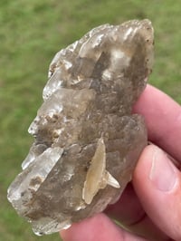 Image 10 of Australian Gypsum / Selenite specimen #796