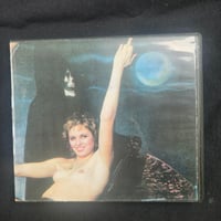 Someone That Has Left Earth "Profane Illumination Through Prolific Intoxication" cdr