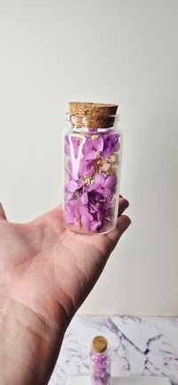 Image 4 of DIY Preserved Flower Workshop Kit