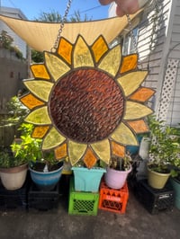 Image 2 of Sunflower 🌻