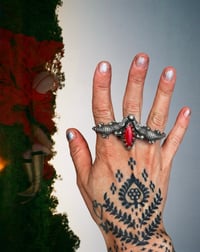 Image 6 of Alligator Knuckles