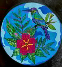 Image 2 of Pretty Bird