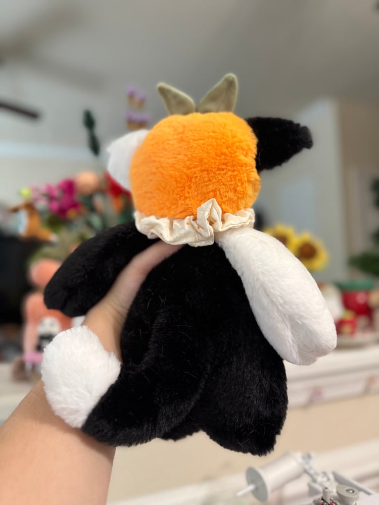 Image of tangerine ππββ¬