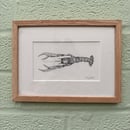 Image 1 of £50 originals - Langoustine, pointillism