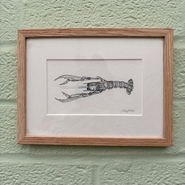 Image of £50 originals - Langoustine, pointillism